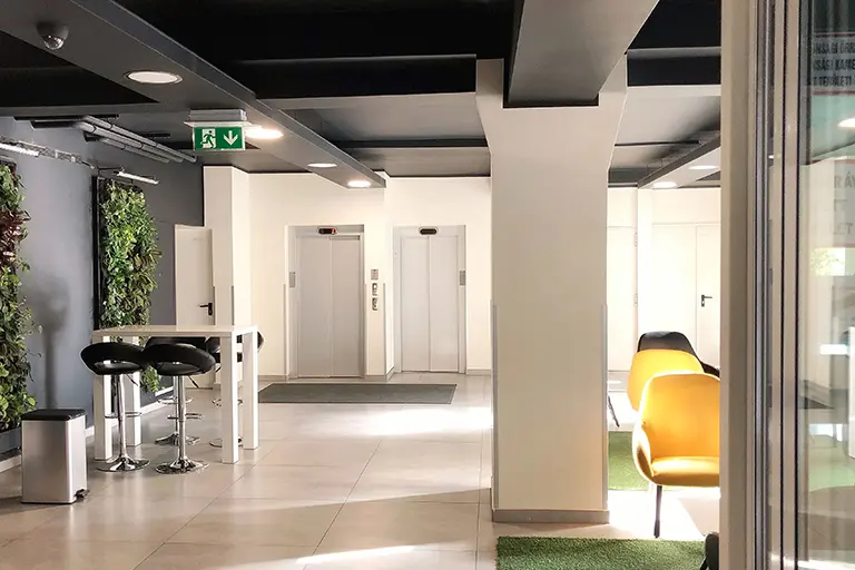 © David Fintz / Unsplash