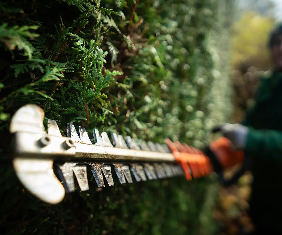 © FRAEM GmbH / Unsplah